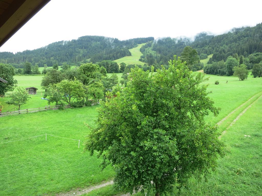 Ferienwohnungen Marchanger Нідерау Номер фото