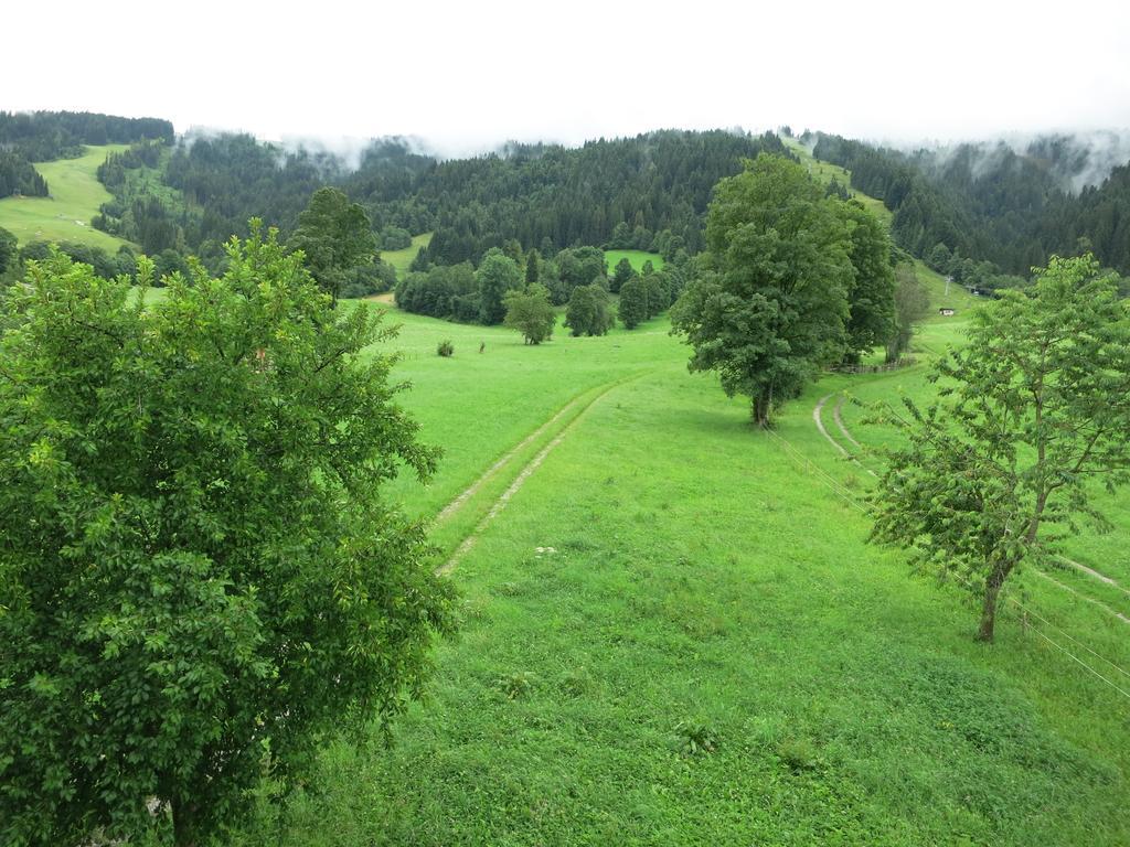 Ferienwohnungen Marchanger Нідерау Номер фото